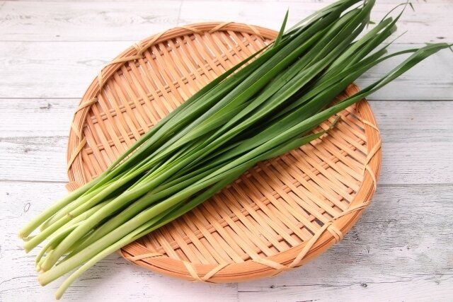 あなたも間違えているかも!?やってはいけないニラの保存方法