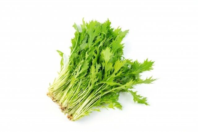 水菜に栄養がないってホント？〜意外な効能やオススメのレシピを紹介〜