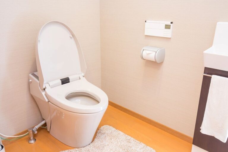 片づけのプロが教える「トイレ」に置いてはいけないものとは？