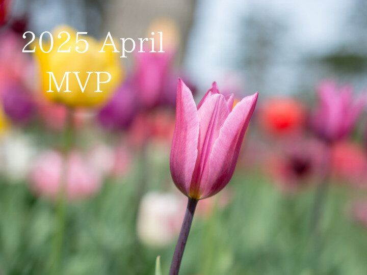 【25年4月度】のMVPを発表します！