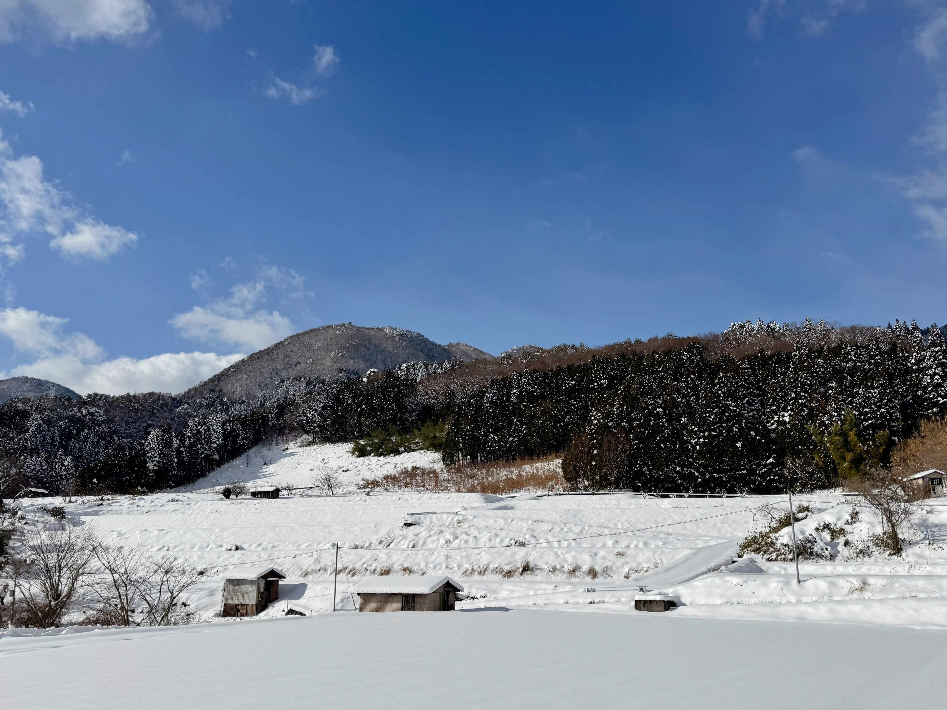 都会から田舎へ移住して3年経過…子どもに関するメリットとデメリット