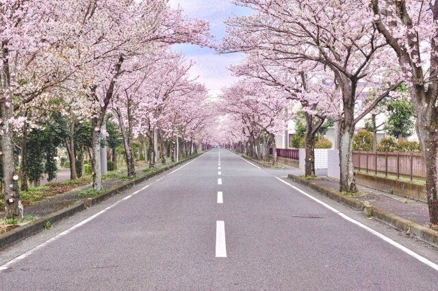 新環境でうまくやっていきたい人がバッグに入れて置くべきものは？【Dr.コパの風水解説】