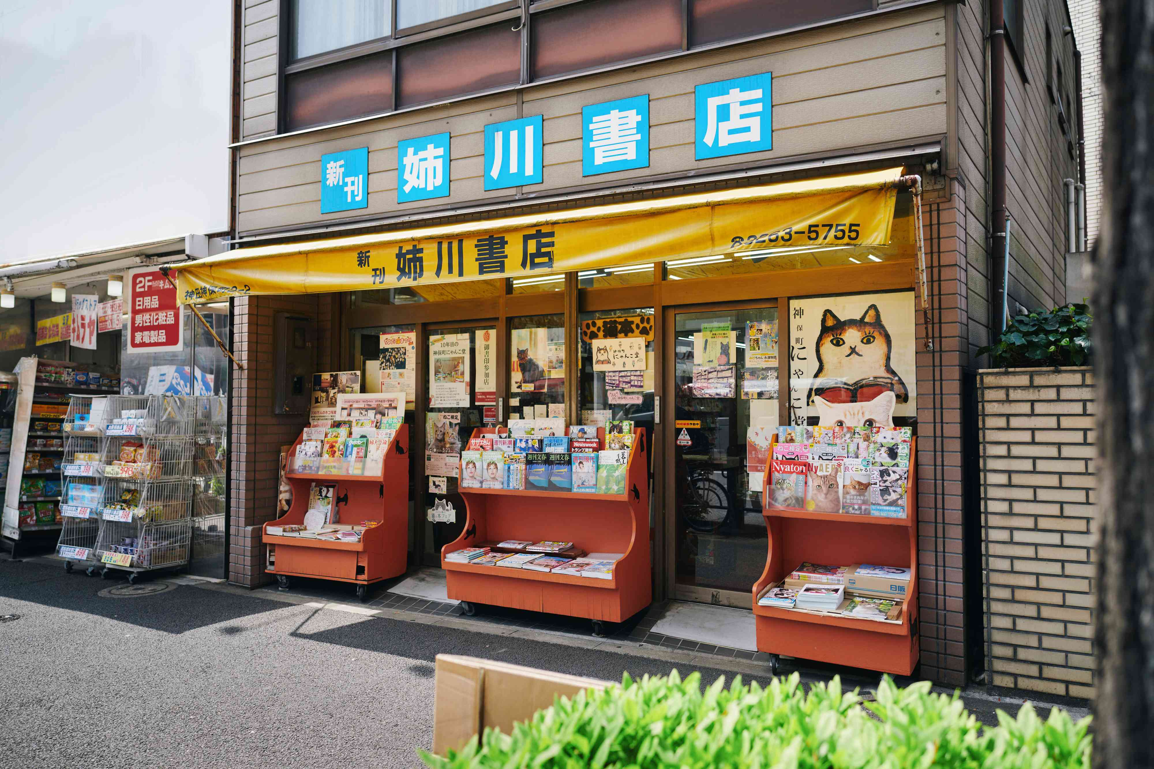 書店冬の時代に10坪ほどの小さな本屋が、世界中から人が集まる場所になるまで