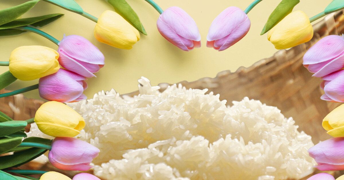 お米を健康的に節約する春の薬膳の知恵