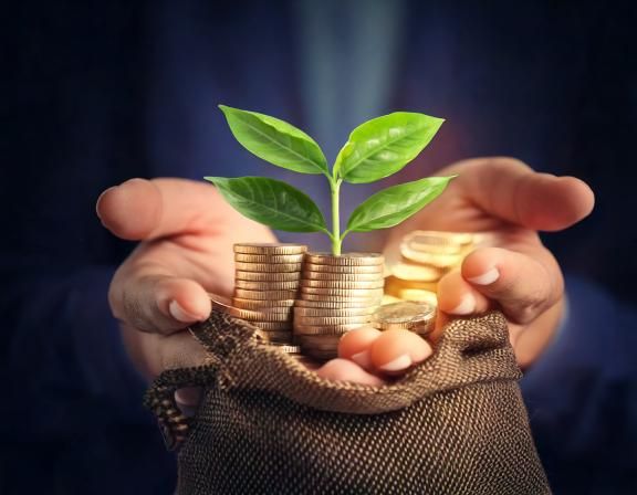 2025年は自分の金運の上限【絶対金運】が露呈する年！絶対金運を上げる方法は？ 【Dr.コパの風水解説】