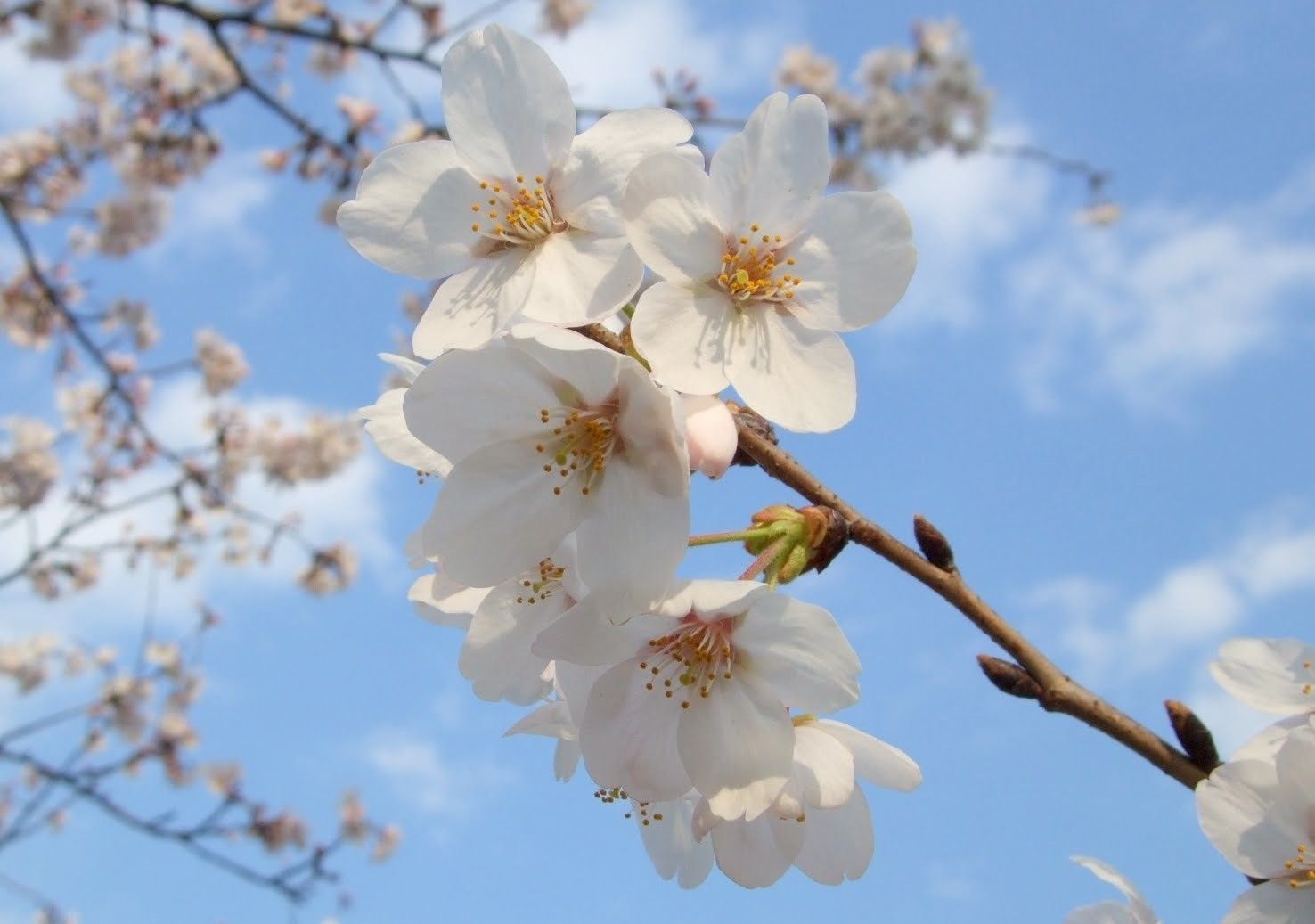 不安や自信のなさは自律神経の乱れのせい？自律神経を整えるコツを医師が解説