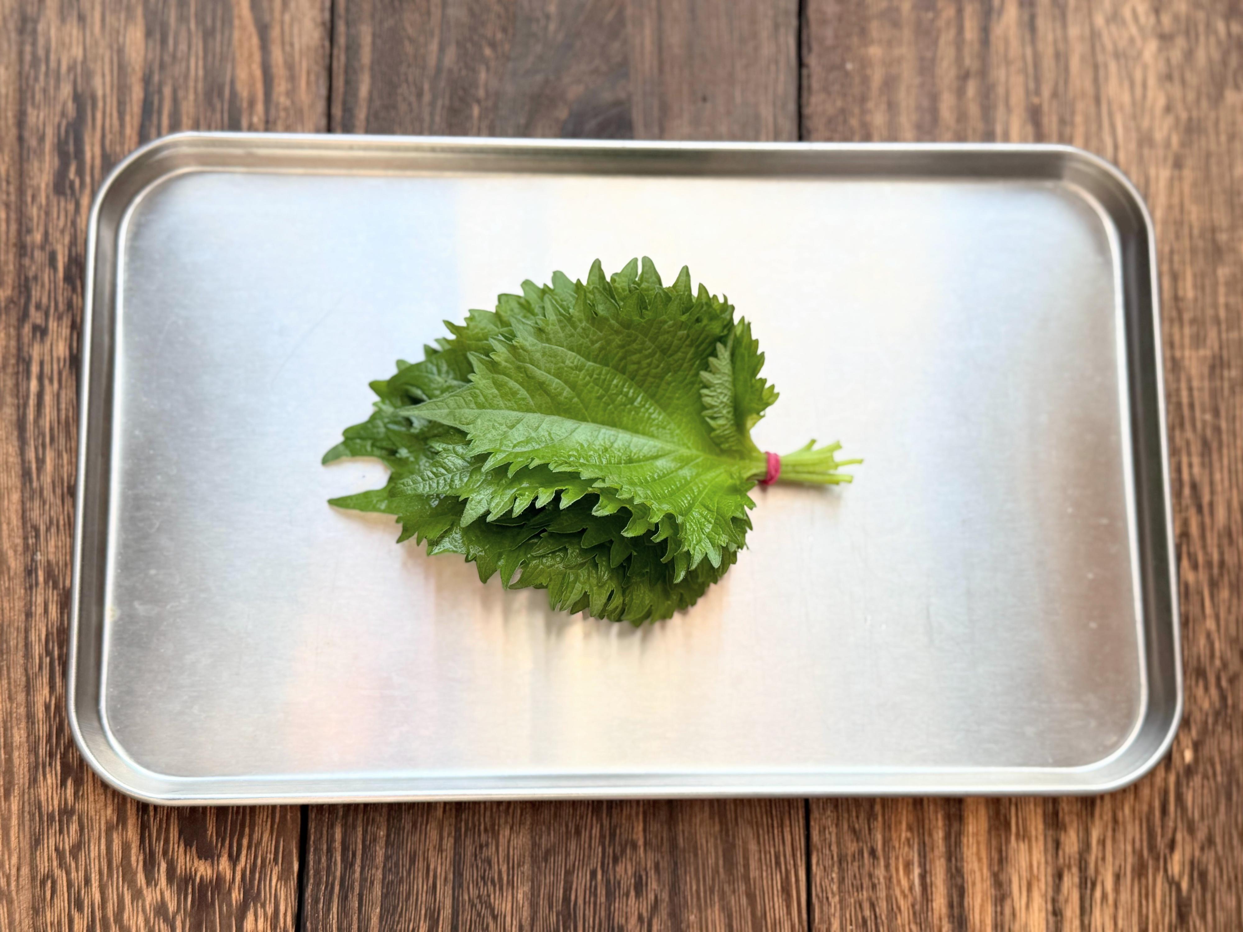 大葉が1週間以上シャキッと長持ちできる超簡単な方法を試してみた