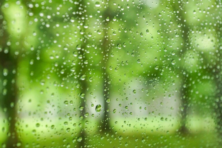 サボると大事なものがカビまみれに!?梅雨入り前にやっておきたい家事3選