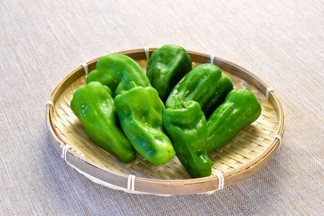 あなたも間違えてるかも!?やってはいけないピーマンの保存方法