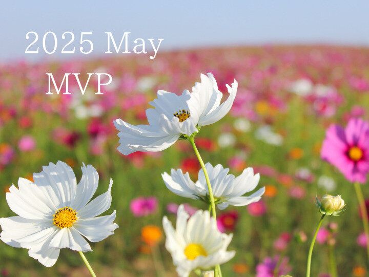 【25年5月度】のMVPを発表します！