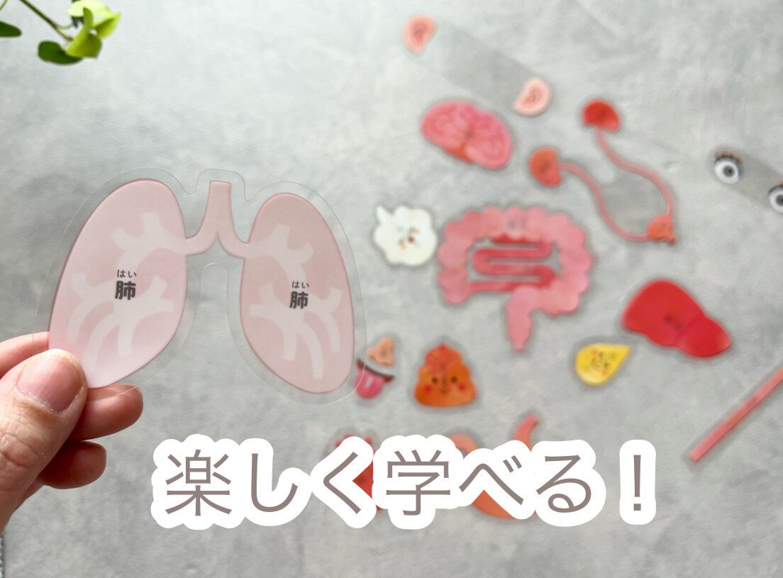 子どもがハマる！【キャンドゥ】の遊びながら楽しく学べる知育玩具が凄い！