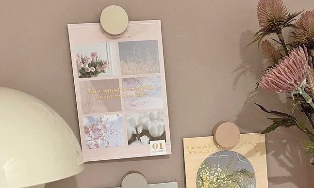 スッキリきれいになる！【セリア】「整ってきました」「迷わず使える」悩みを解決してくれるアイテム5選