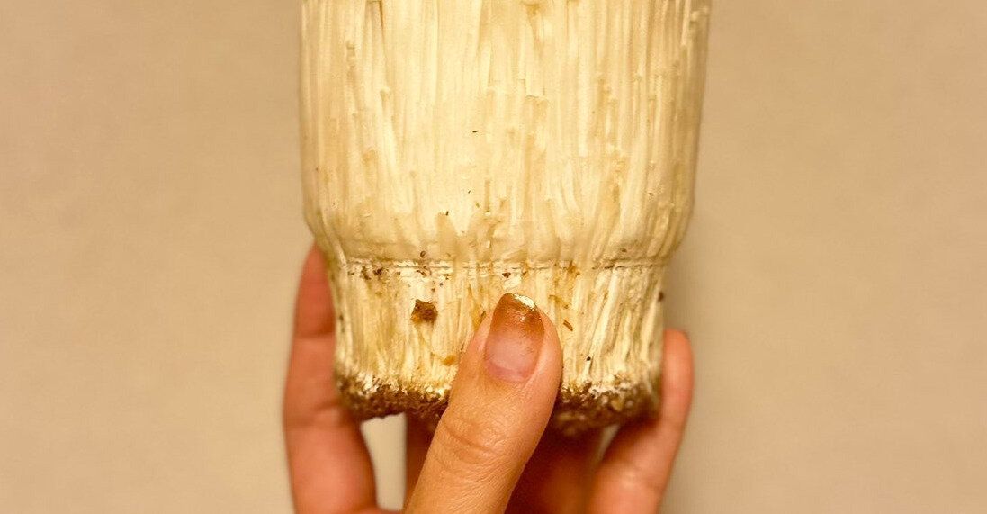 スープを作るためにエノキを半分使いたいと言う小2娘。残されたエノキの驚きの姿に10.2万件のいいね集まる