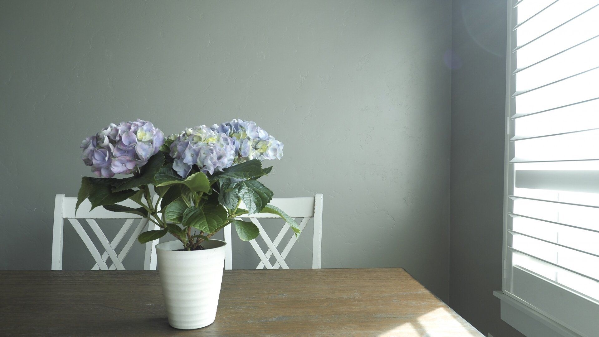 元・汚部屋住人が教える！梅雨でもゴキブリを防ぐ「3つの習慣」