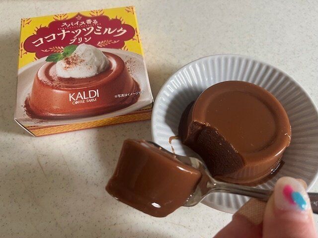 【カルディ】こんなの初めて食べた！スパイス香るココナッツミルクプリンが美味しい