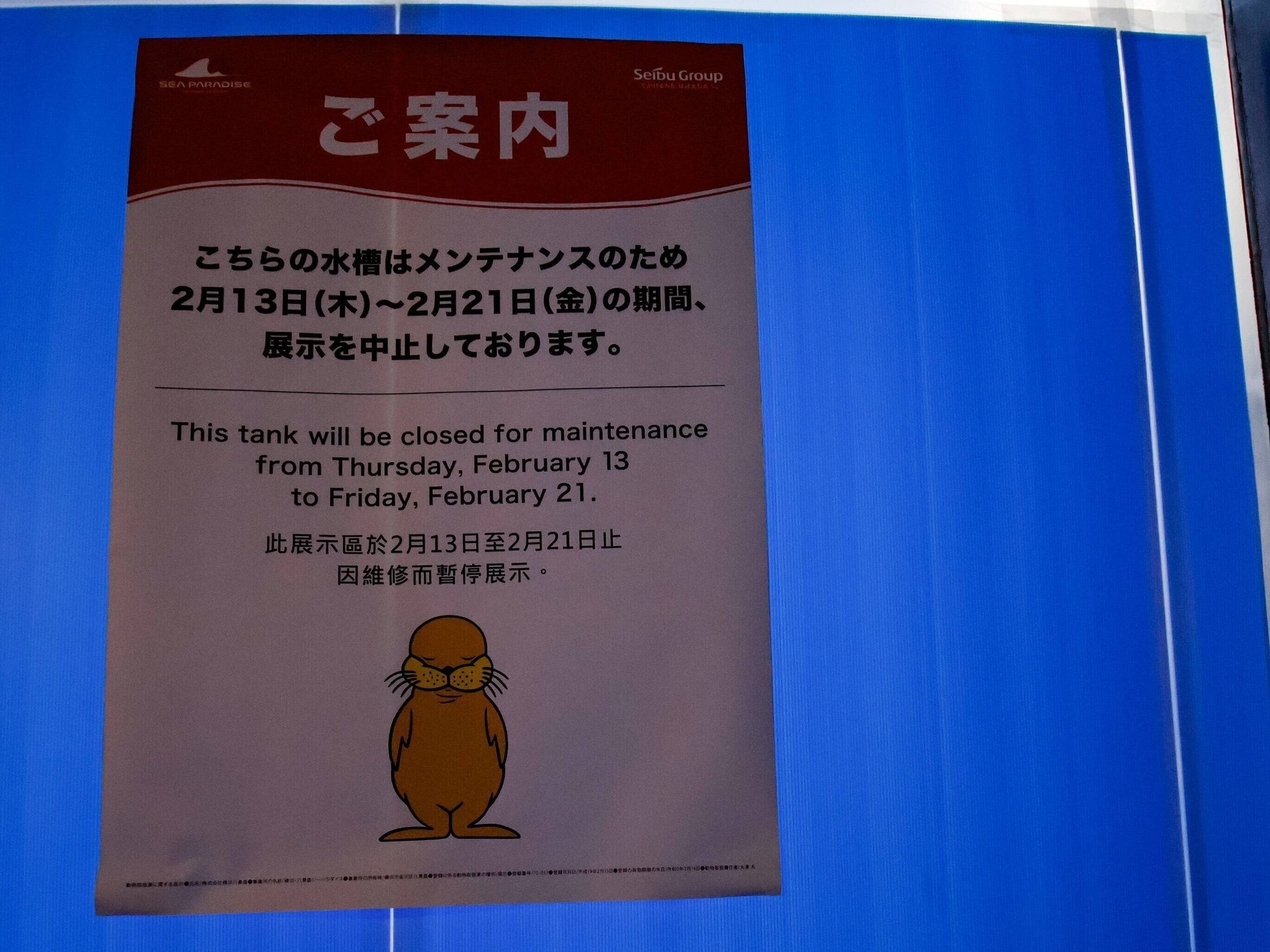 「何の水槽？」答え合わせはシルエットで。目隠しされた水槽に現れた影がかわいすぎて16万いいね