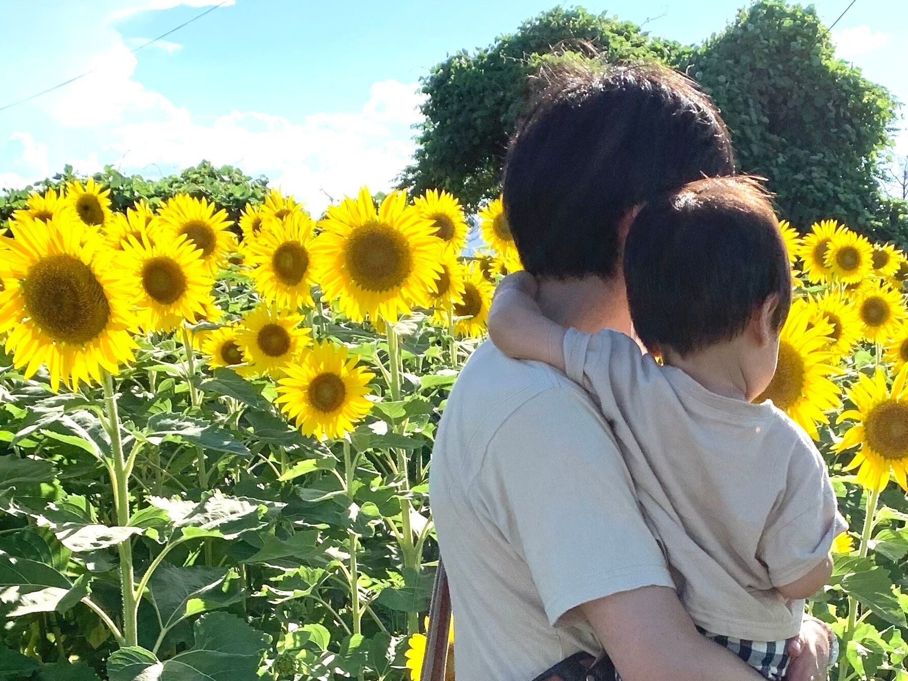 真夏のむだ遣いに気をつけて！節約ガチ勢が【VS.猛暑】でやることやらないこと