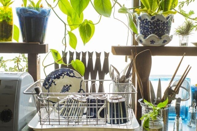 水切りかごを使わないのはアリ？メリットやおすすめの代用品を紹介！