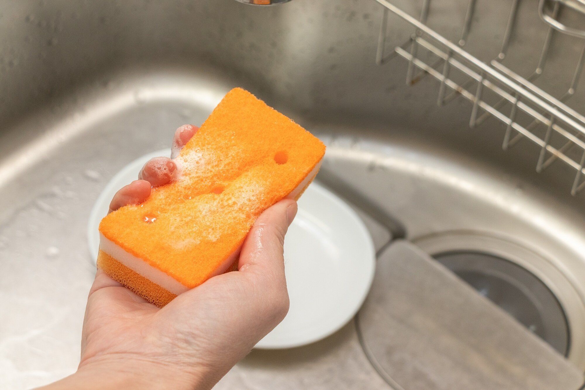 スポンジ正しく使えている？掃除のプロに聞いた「食器洗い」でやってはいけないワースト4