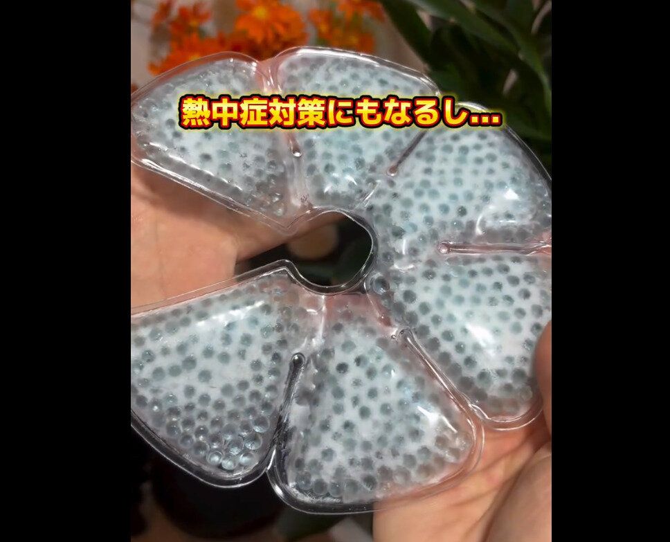 売り切れ続出中！【ダイソー】「330円ってマジ!?」「くるっと収納」便利すぎ5選