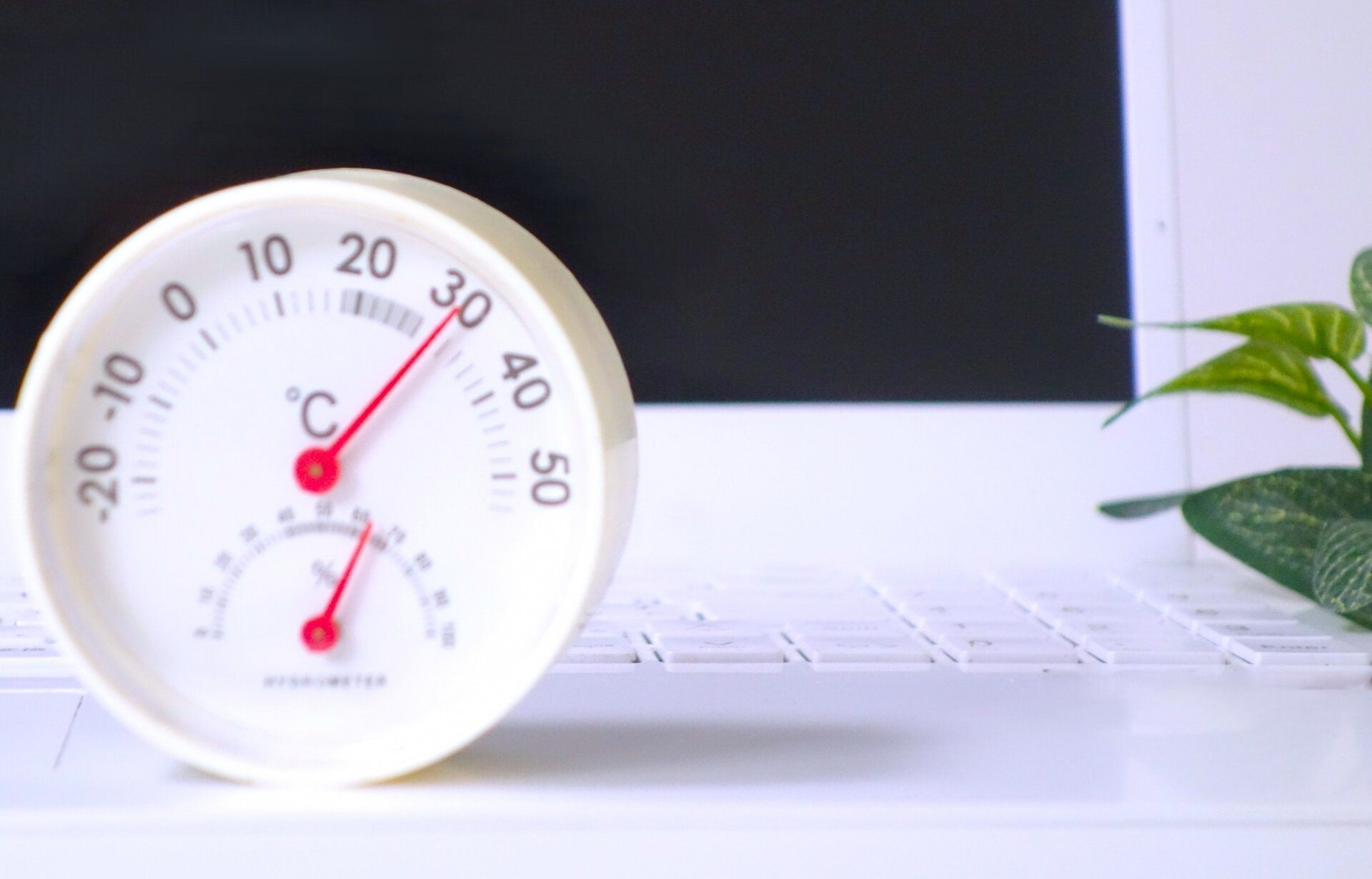 暑いとついやりがち…な「お金のムダ使い」はもうしない！家計管理を知り尽くしたプロが教える夏の浪費対処法