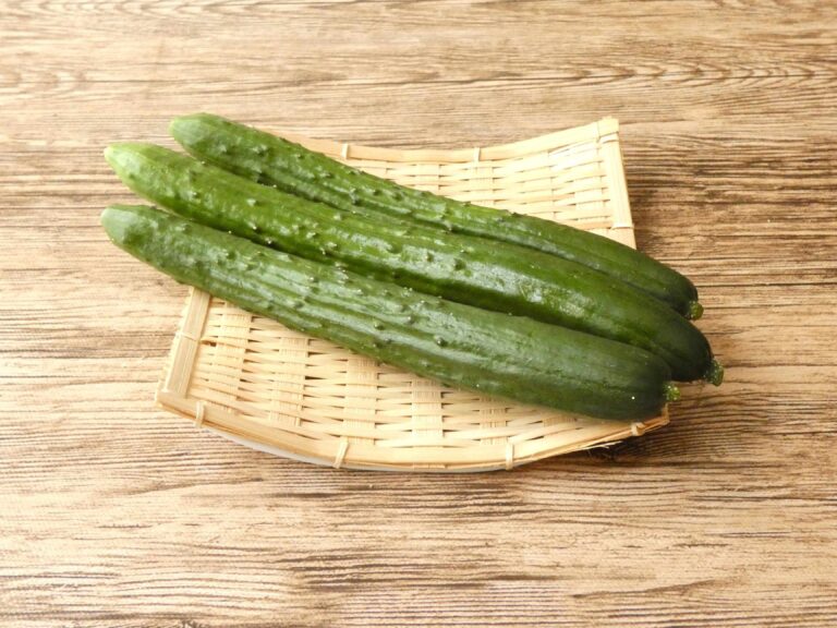 キュウリをかったらつくらなきゃソン！定番夏野菜の一番おいしい食べ方って？