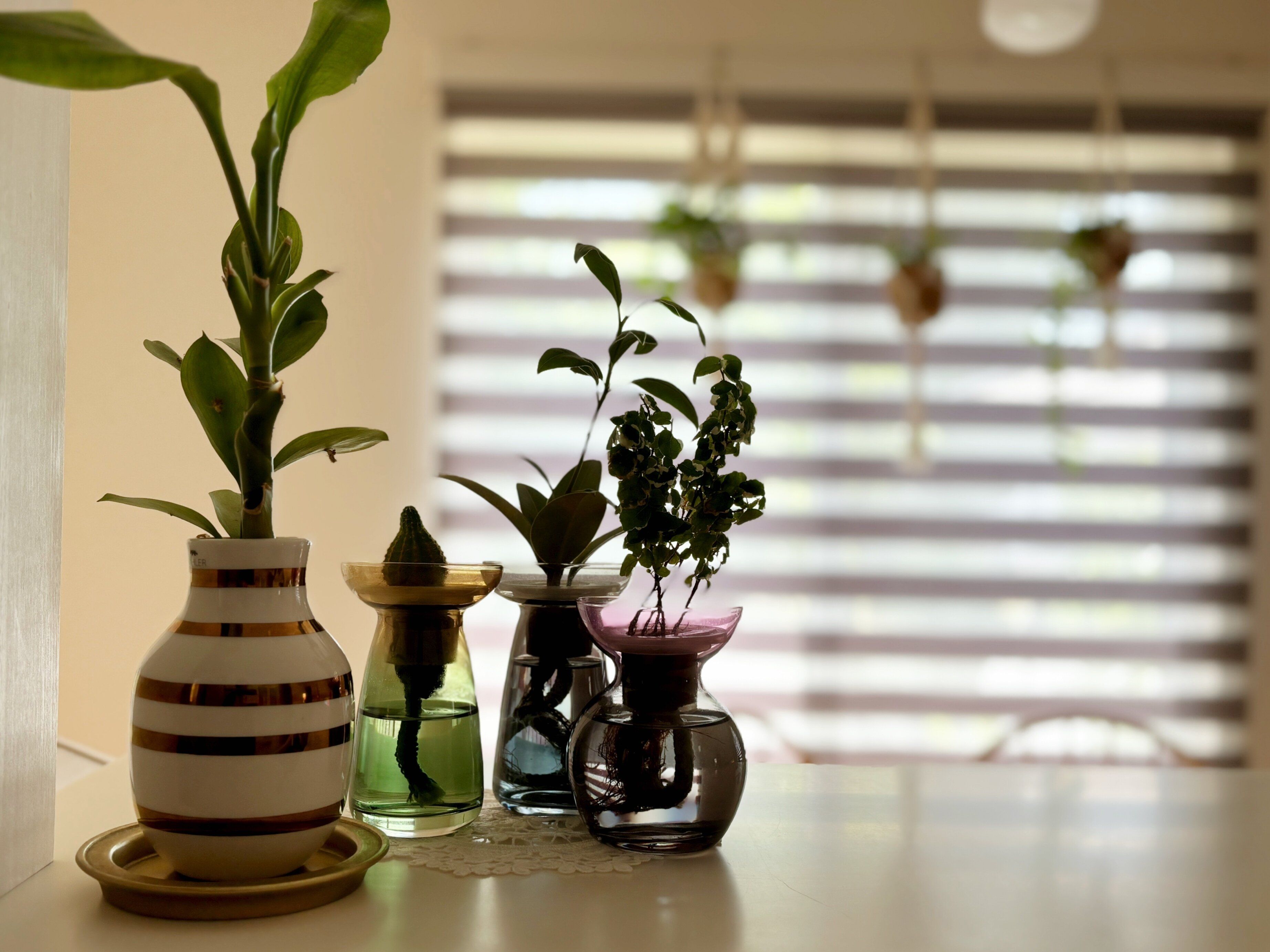 思い切ってやめると楽になる！40歳過ぎたら減らすべき家事をプロが解説