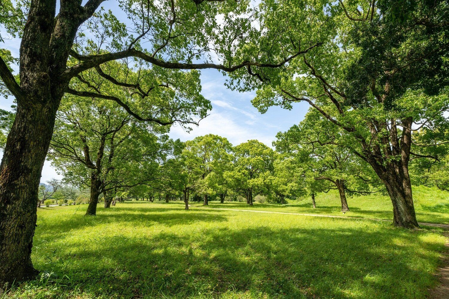 貯まらない人・貯まる人の差は休日の“昼”にあった！