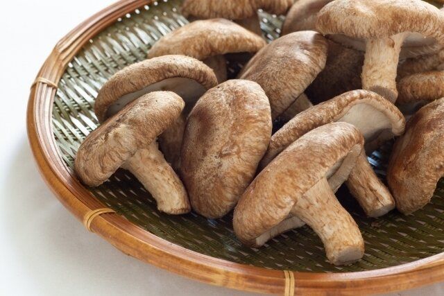 じつは避けたほうがいいかも？野菜のプロが教える「しいたけ」のもったいない食べかた
