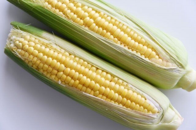 あなたも間違えてるかも!?やってはいけない「とうもろこし」の保存方法