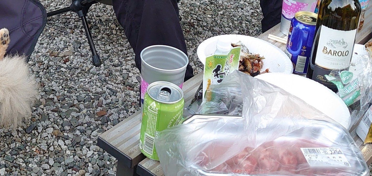 飼い主がバーベキュー中、「自然とそこにいるポメラニアン」に16万いいね!!椅子にすっぽりおさまり、超リラックスモードで参加する姿にほっこり！