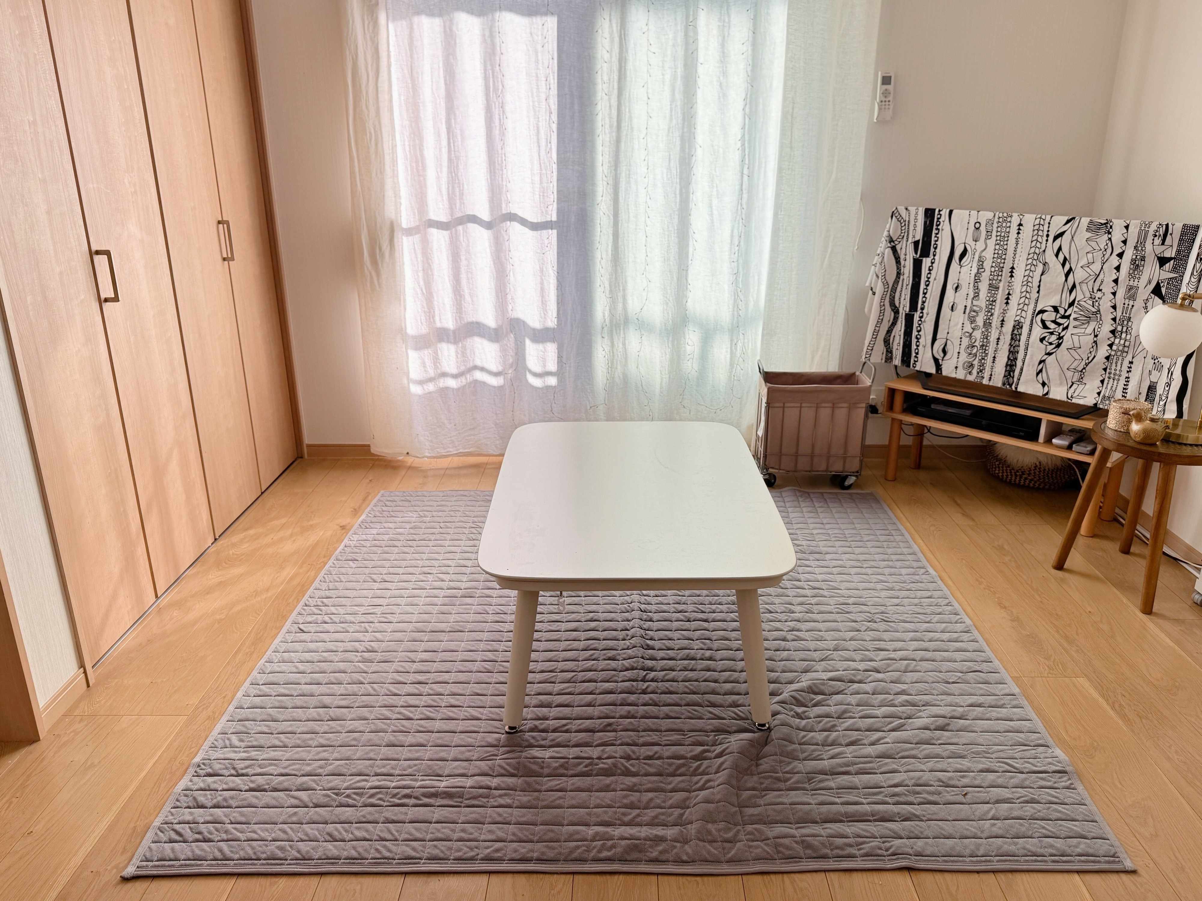 もの少なめのシンプリストがリビングにあえて置いたらスッキリしたもの3選