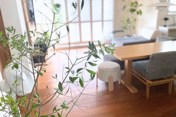 【気づいている？】掃除以外にもあった！ものを減らすとラクになる“見えない家事”3選