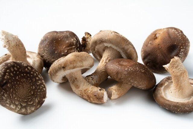 「しいたけ」を買ったらやらなきゃ損！プロが教えるしいたけの1番おいしい食べかた
