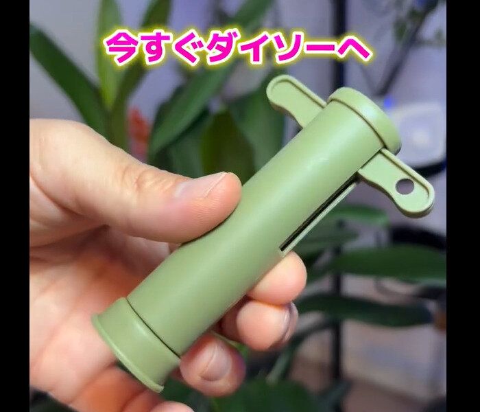 神商品発見！【ダイソー】「毒を吸引」「ケースごと入る」お役立ち2選