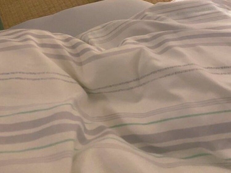 愛犬からのメッセージ？体調を崩して寝込んでいると、柴犬がそっと置いたおもちゃに17万「いいね」が集まる