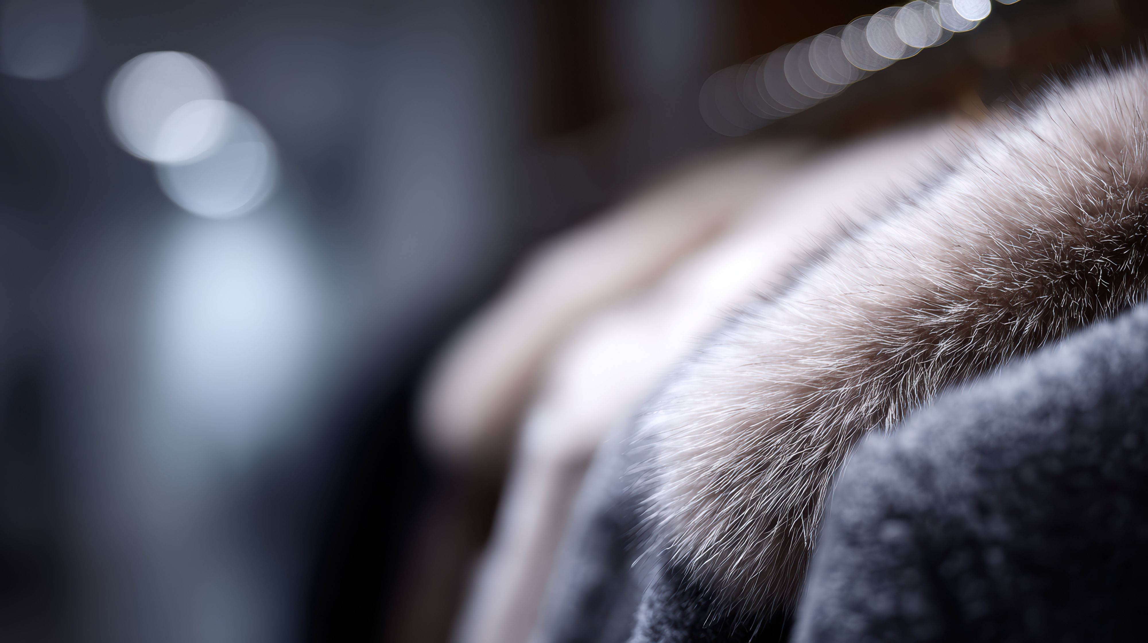 40代が着ると「おばさん」に見える残念なアウターって？