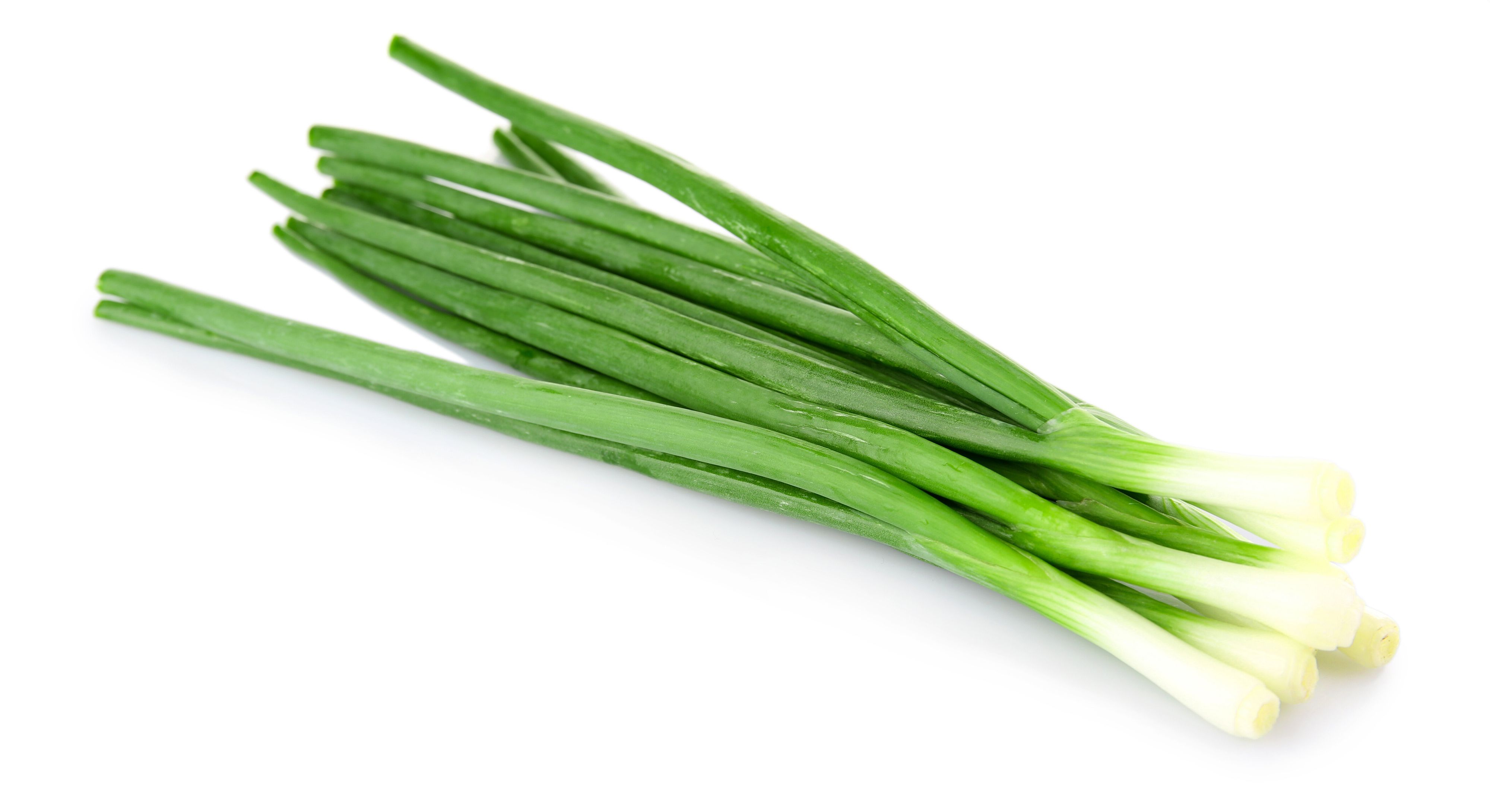 あなたも間違えているかも!?やってはいけない長ネギの保存方法