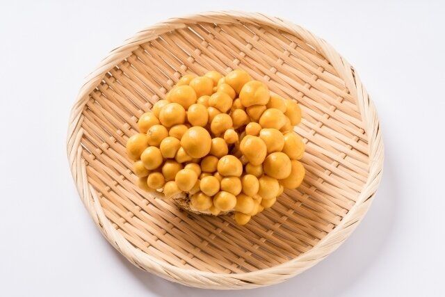じつは避けたほうがいいかも!?野菜のプロが教える「なめこ」のもったいない食べかた