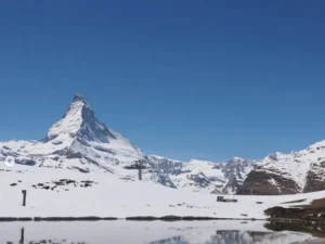 いぬやま　まい