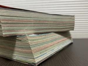 エンタメライター ハセガワ光