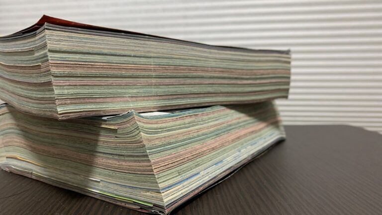 エンタメライター ハセガワ光