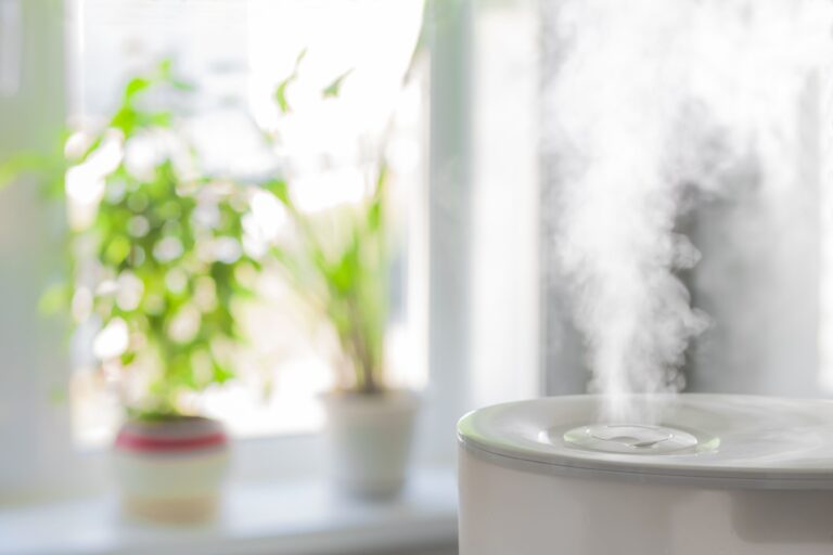 【家事のプロが解説】加湿器の使いすぎに注意！冬こそ発生しやすい「隠れカビ」の危険スポット
