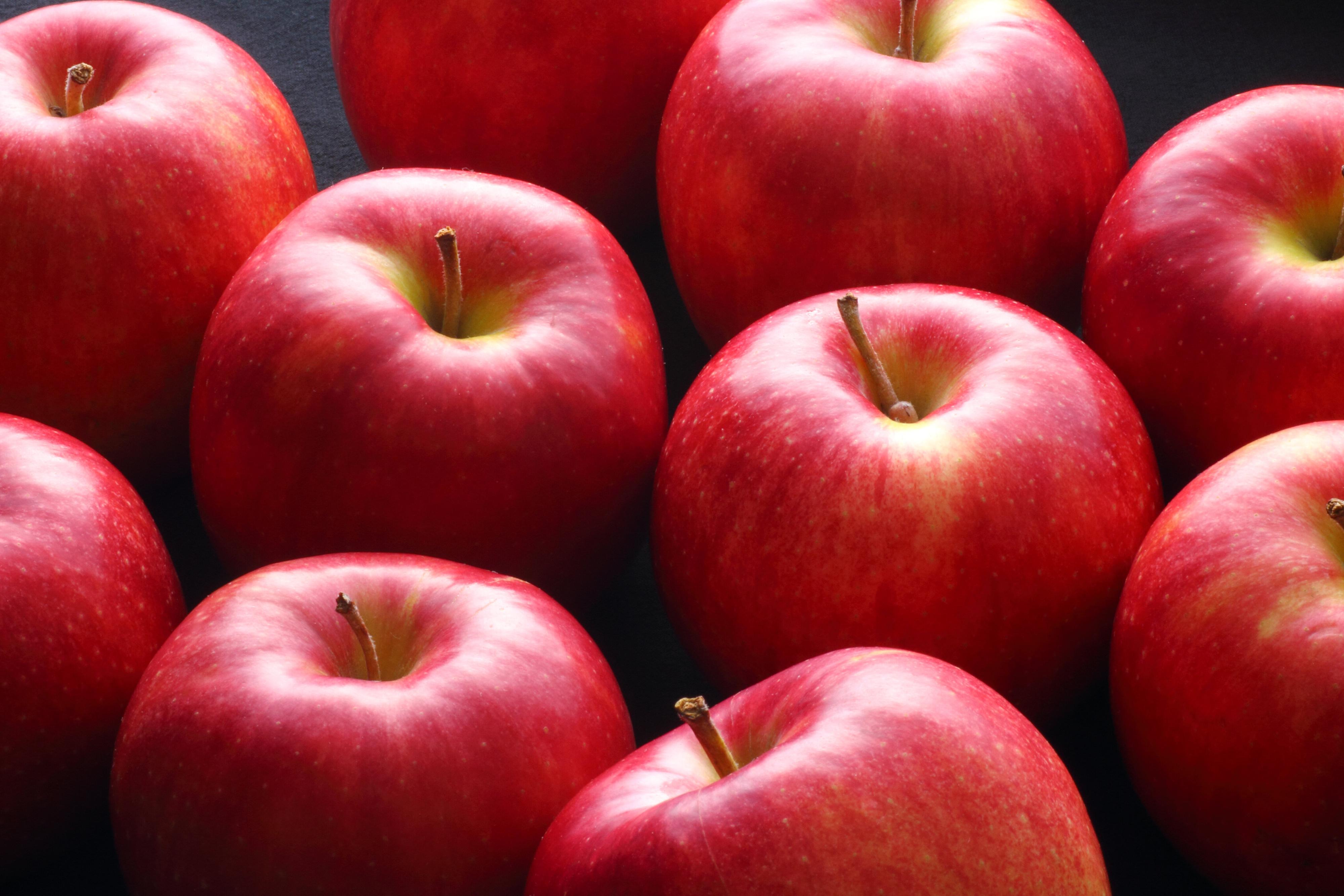 【管理栄養士が解説】りんごはこの食材と食べちゃダメ⁉相性がよくない食材と気をつけるべきポイントとは？