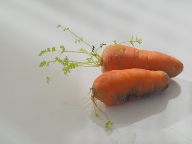 捨てる罪悪感から解放！食品保存アドバイザーが教える買い物回数が減る「使い切り野菜術」