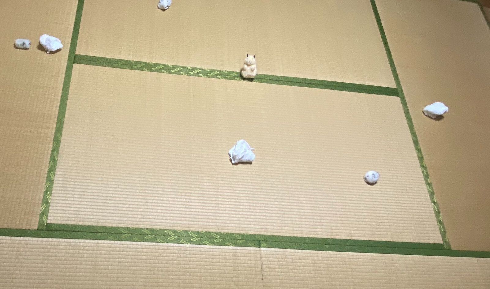 ジャンガリアンハムスターを飼育していた部屋で開催された「本物のハムスターを探せ！」に多くの挑戦者集まる