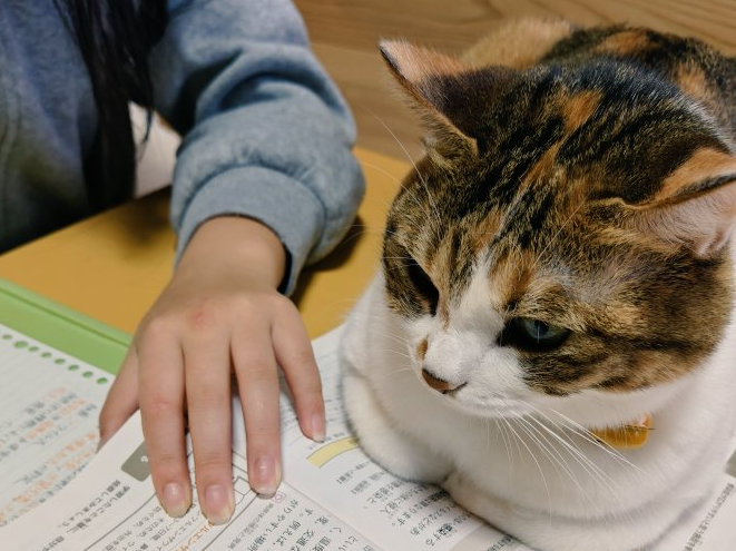 テスト勉強をする娘とそれを見守る愛猫。まるで家庭教師のような姿に「かわいい応援団長」の声