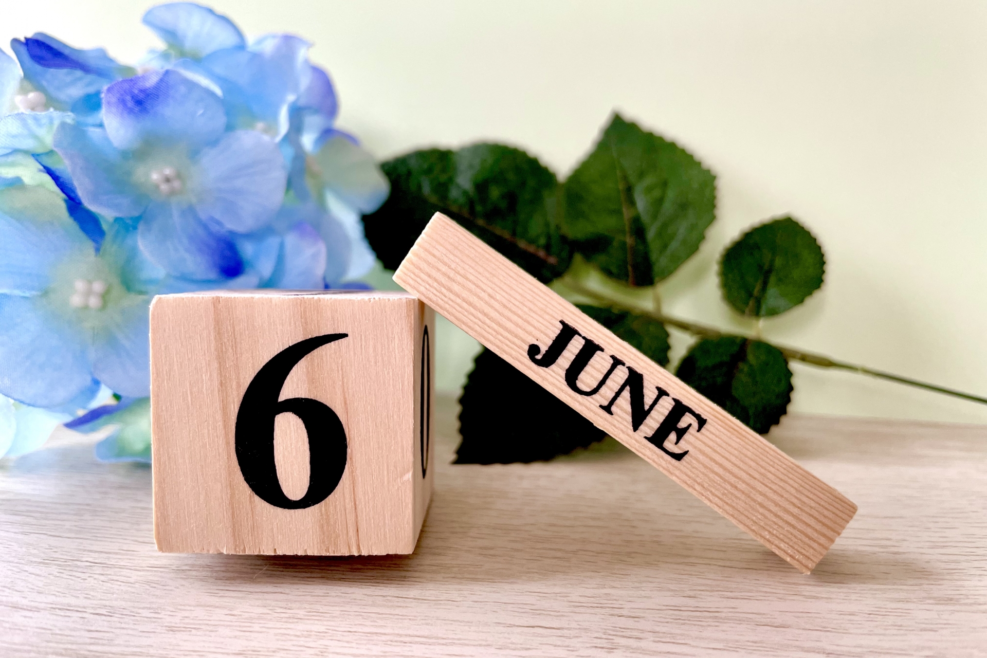 6月6日から始めた方がいいことって、なに？　6月の金運アップ風水はコレ！【Dr.コパの風水解説】