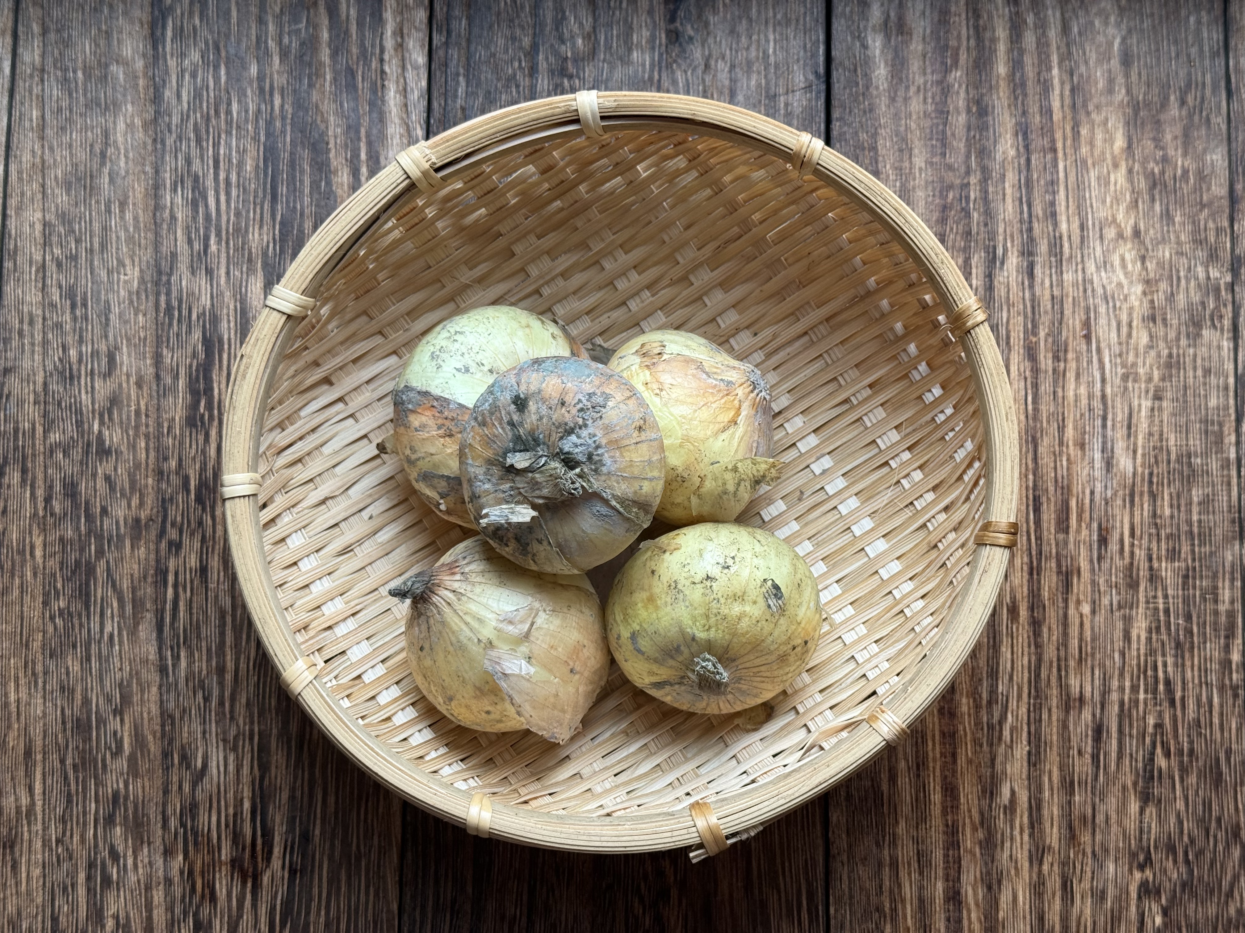 新玉ねぎは「冷蔵庫で保存か常温保存」どちらが正解！？野菜のプロが解説