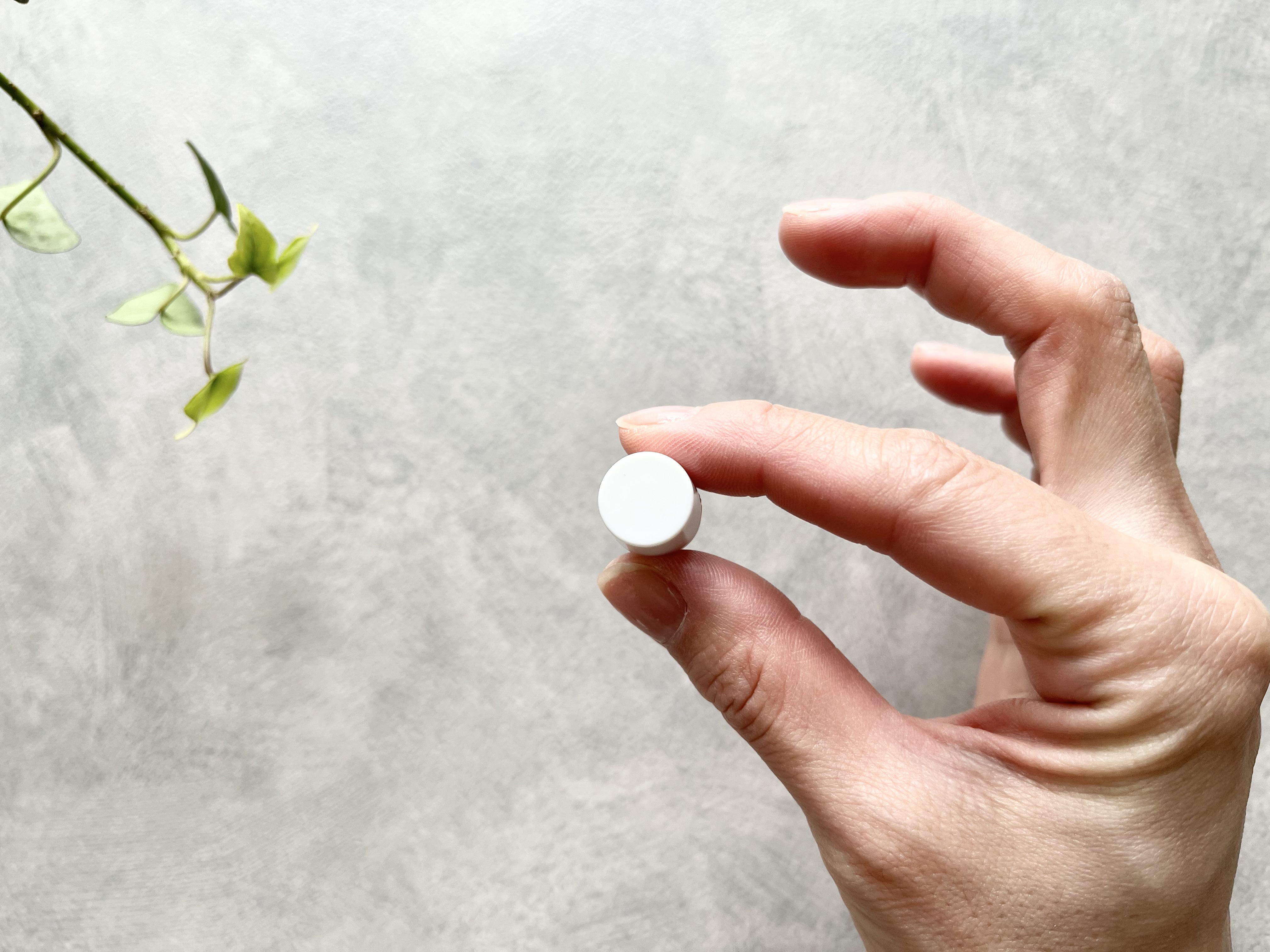 【ダイソー】壁を傷つけない収納の救世主！石膏ボードに「穴あき板」が手軽に付く神グッズ
